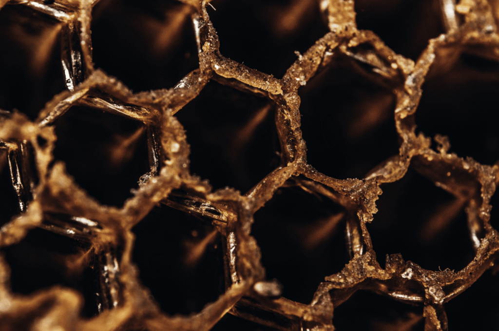 Screenshot 2025 11 13 at 9.43.19 AM